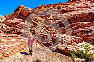 Senior woman hiking on the Red Sandstone Cliffs of the Calico Trail in Red Rock Canyon National Conservation Area near Las Vegas,