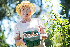 Senior woman holding crate of snail in garden