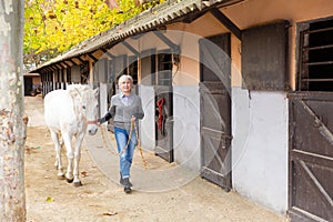 Senior woman horse breeder leading white horse through horse barn