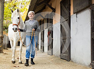 Senior woman horse breeder leading white horse through horse barn