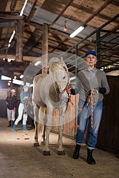 Senior woman horse breeder leading white horse through horse barn