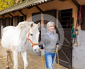 Senior woman horse breeder leading white horse through horse barn