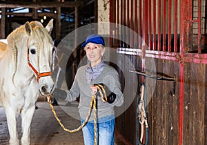 Senior woman horse breeder standing with horse in barn