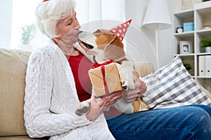 Senior Woman Kissing Dog on Birthday