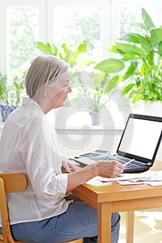 Senior woman laptop bills receipts