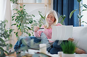 Senior woman with laptop and credit card sitting indoors on sofa, online payment concept.