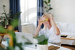 Senior woman with laptop indoors at home, family video call concept.
