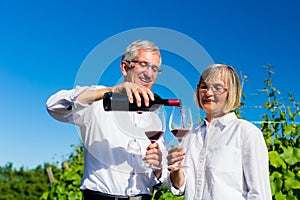 Senior woman and man drinking wine in vineyard