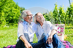 Senior woman and man having picnic on meadow