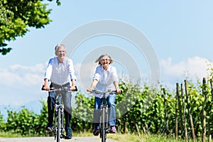 Senior woman and man having picnic on meadow