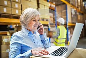 Senior woman manager with smartphone and man worker working in a warehouse.