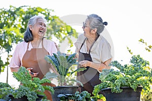 senior woman and mature woman in garden.Emotional Well-being