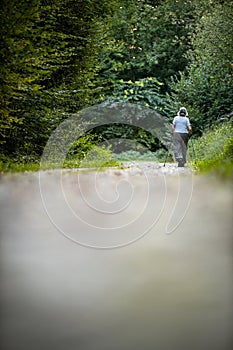 Senior woman nordic walking on a forest path