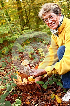 Senior woman picking mushrooms