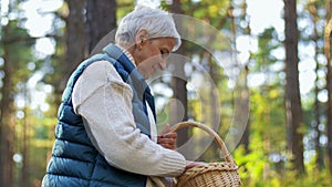 Senior woman picking mushrooms in autumn forest