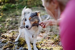 Senior woman playing and training her dog during autumn walk in forest.