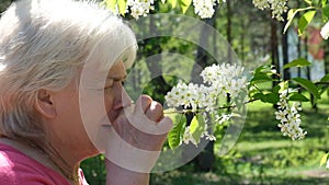 Senior woman with pollen allergy, sniffing flower of bird cherry, hackberry sneezing and blowing nose because of seasonal allerg