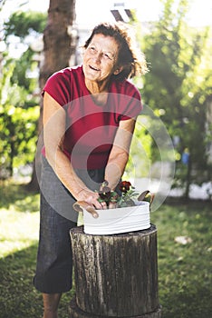 Senior woman potting flowers, gardening on a sunny spring day