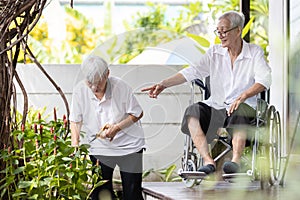 Senior woman pruning branches of flowers,elderly relaxing,enjoying with plants in the garden,happy smiling asian old people doing