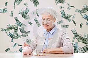 Senior woman putting money to piggy bank at home