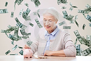 Senior woman putting money to piggy bank at home photo