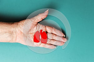 A senior woman shows in her palm, a silhouette of sick red lungs cut out of felt. Close up. Flay lay. Lung cancer