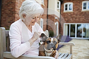 Senior Woman Sitting On Bench With Pet French Bulldog In Assisted Living Facility