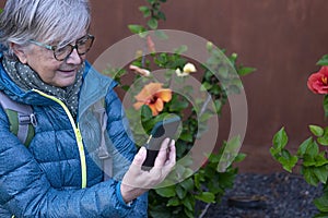 A senior woman sitting in a blossom garden looking at her smartphone. Old retiree using wireless technology