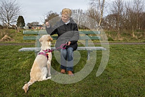 Senior woman sitting on a park bench training young golden retriever dog