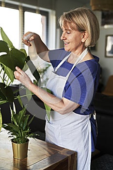 Senior woman spraying green leaves from a spray bottle