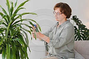 Senior woman sprays plants in flowerpots. Happy female caring for house plant. Mature Woman taking care of plants at her