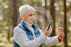 Senior woman using smartphone to identify mushroom