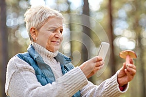 Senior woman using smartphone to identify mushroom