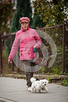 Senior woman walking her little dog on a city street