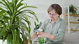 Senior woman watering flowers from hand sprayer. Plant care concept