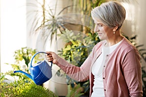 Senior woman watering houseplants at home