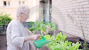 Senior woman watering plants and caregiver approaching her in geriatrics