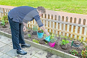 Senior woman  waters plant with watering can