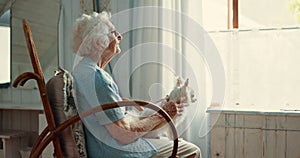 Senior woman, window and dog in house for vision, memory or thinking for care, love or rocking chair. Elderly person