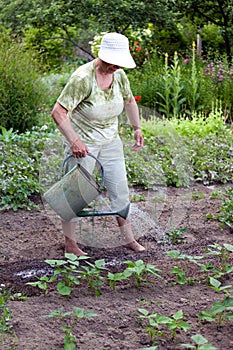 Senior woman working in garden