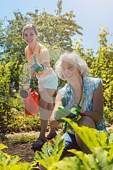 Senior woman working in the vegetables while daughter is watering garden