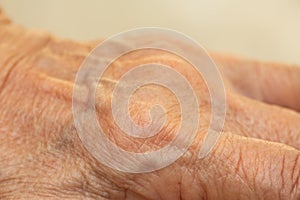 Senior woman wrinkled skin texture of blood in back of the hand, Close up & Macro shot, Selective focus, Body part, Healthcare