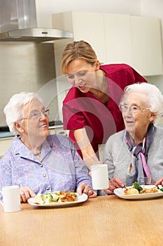 Senior women with carer enjoying meal at home