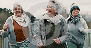 Senior women, fitness and group in park with smile, exercise and health on bridge in retirement. Elderly female friends