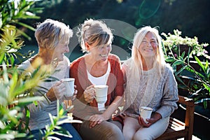 Senior women friends with coffee sitting outdoors on terrace, resting.