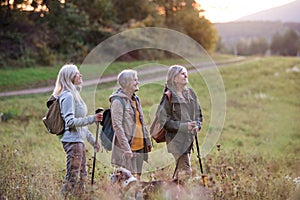 Senior women friends with dog on walk outdoors in nature.