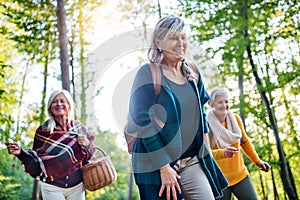 Senior women friends walking outdoors in forest.