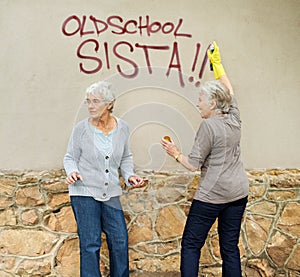 Senior women, graffiti or spray painting a wall, looking or vandalism for fun, trouble or humor. Elderly people