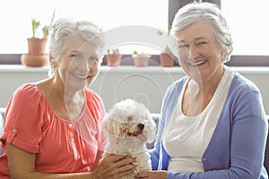 Senior women stroking a dog