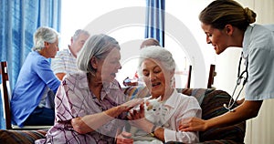 Senior women stroking kitten while interacting with doctor 4k